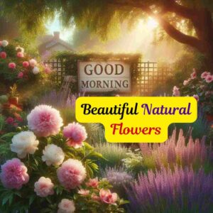 Good Morning Images Natural Flowers 2024