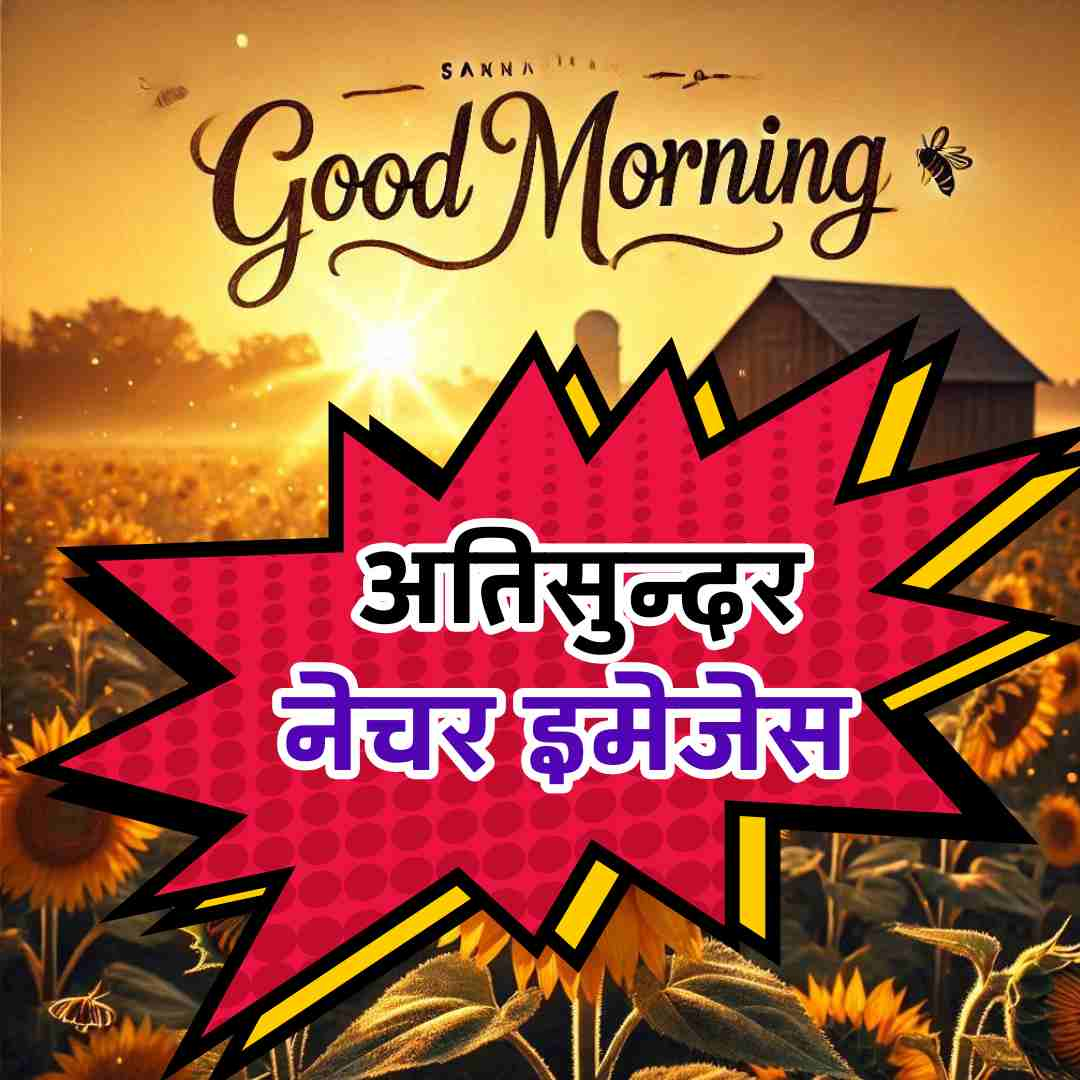 Today Special Good Morning Images HD for Whatsapp Instagram Facebook