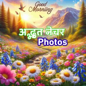 New Good Morning images with flowers 2025